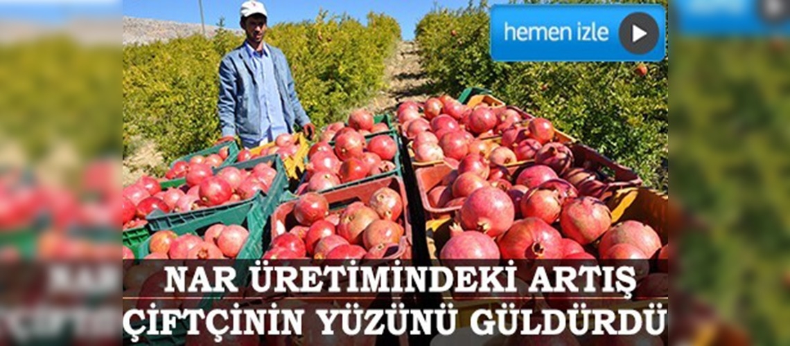 Adıyamanda tütüne alternatif nar üretiliyor