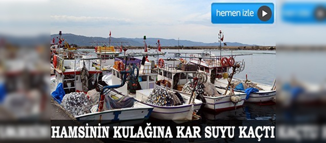 Karadenizli Balıkçının Gözü Hamside