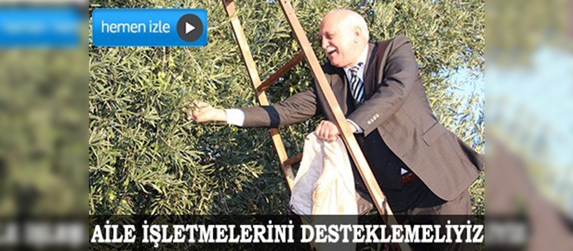 Karacasuda entegre zeytin tesisi açıldı