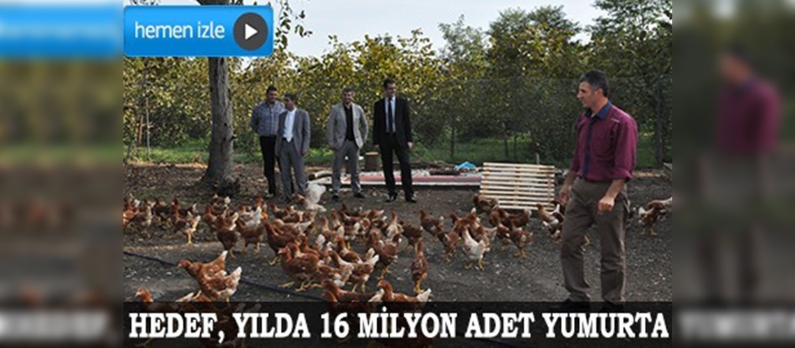Orduda serbest sistem yumurta tavukçuluğu projesi