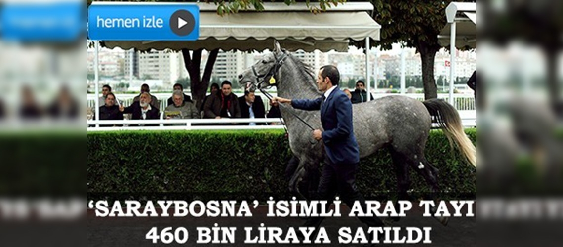 TİGEM atları görücüye çıktı