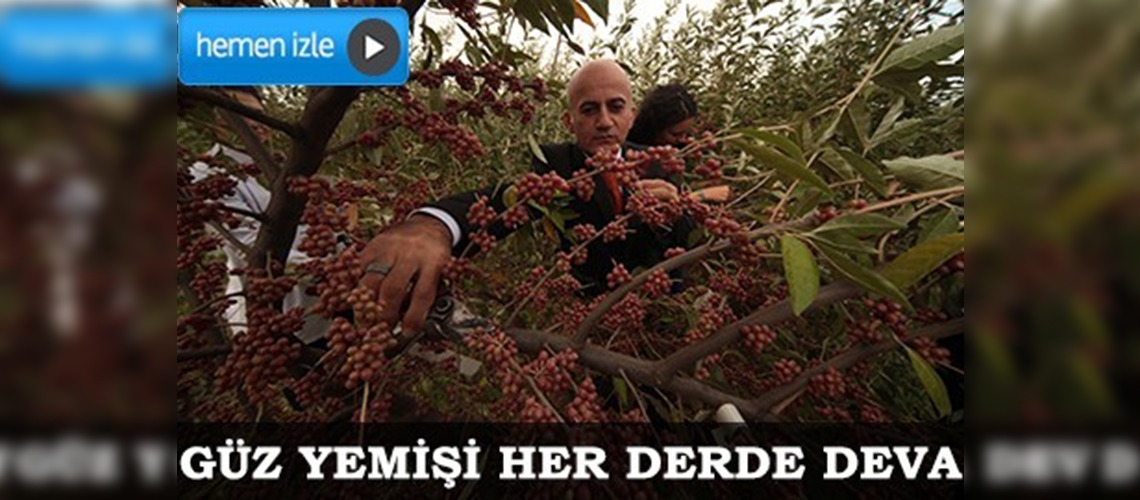 Güz Yemişi Türkiye'nin her yerinde yetiştirilecek
