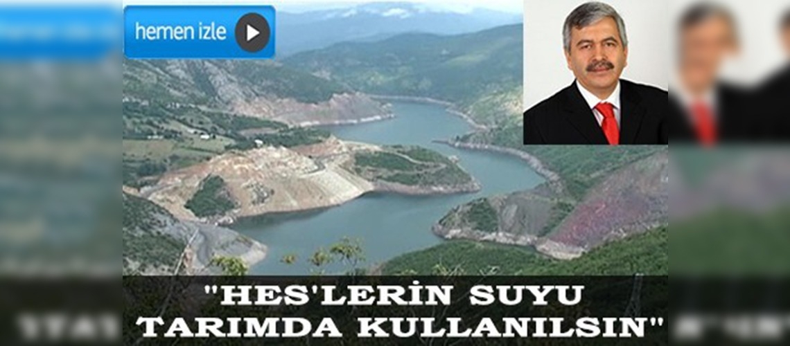 Profesörden HES'ler için öneri