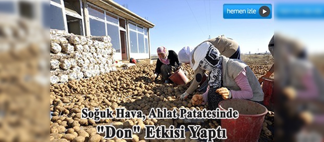 Ahlat patatesini don vurdu  