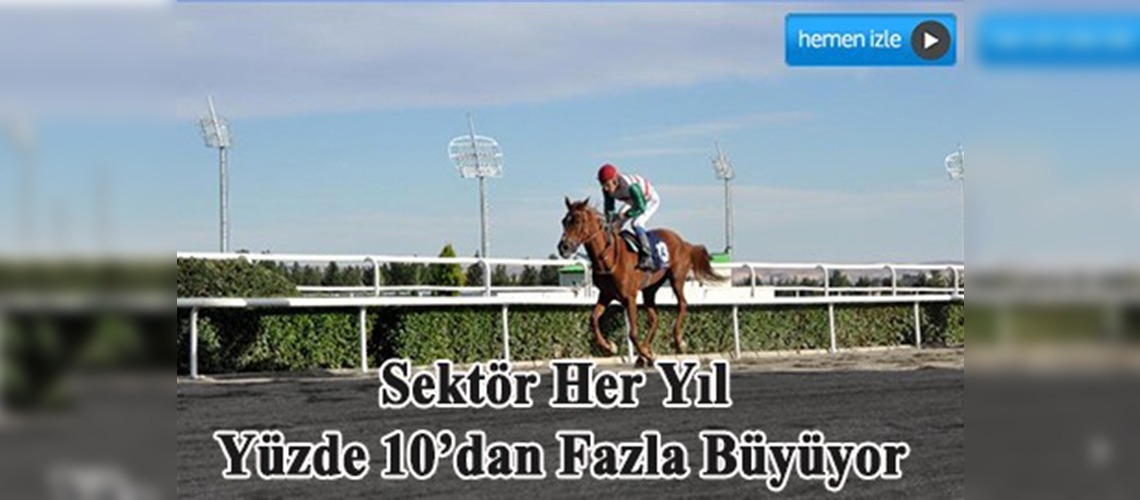 Atçılık ''dörtnala'' ilerliyor