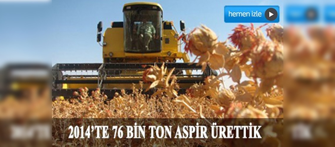 Türkiye aspir üretiminde dünya 7'ncisi