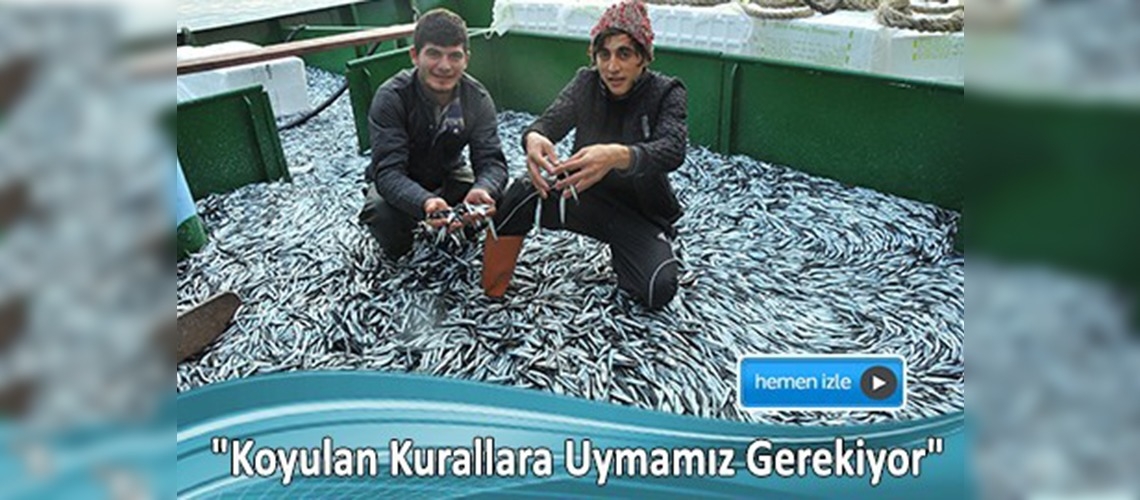 Hamsiyi korumanın yolu kurallara uymaktan geçiyor