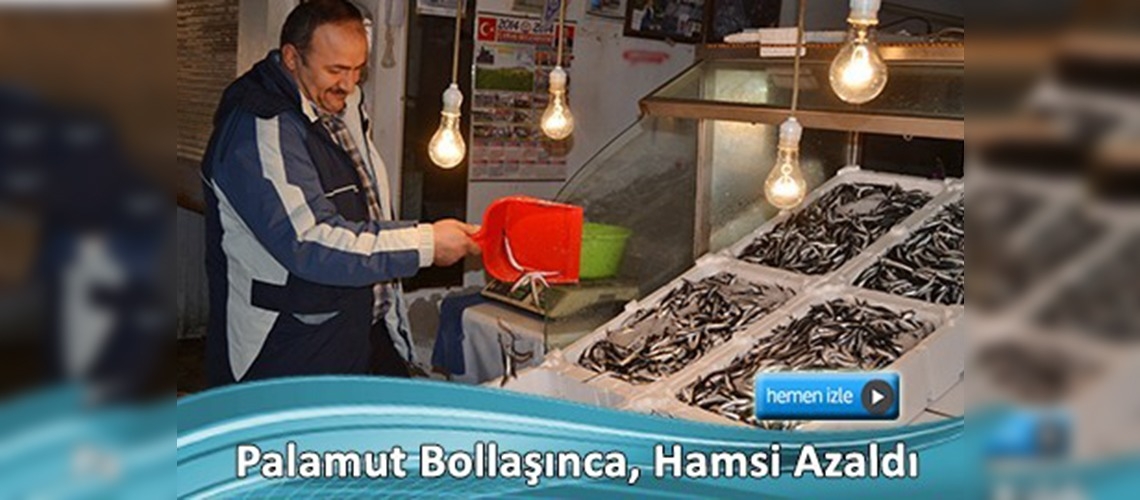 Karadeniz'de hamsiye palamut darbesi 