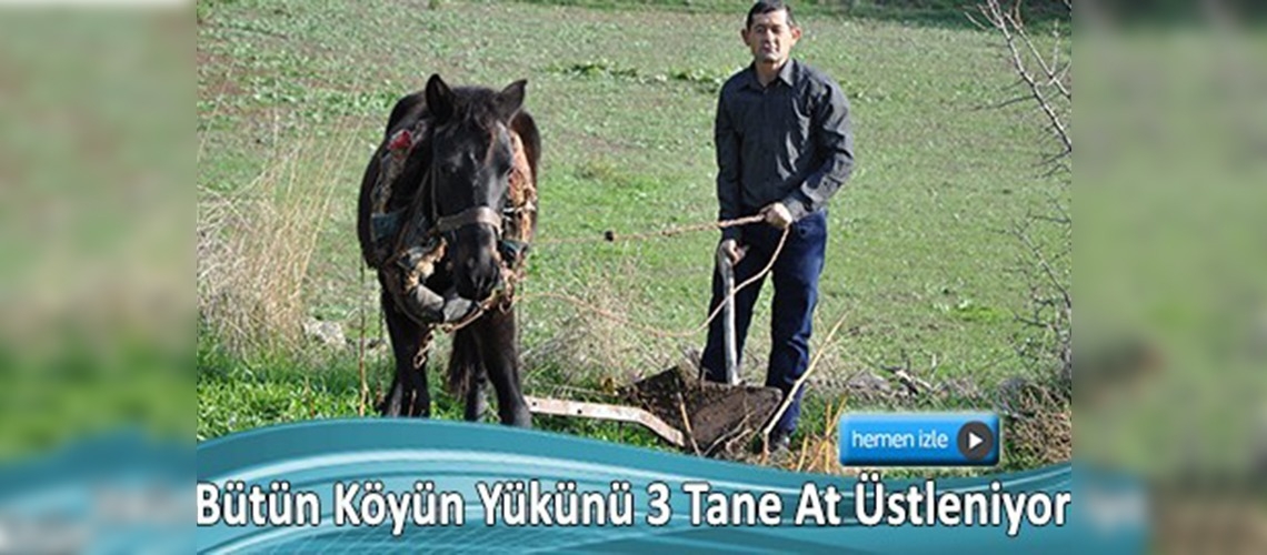 Bu köyde atlar traktörlerden daha değerli