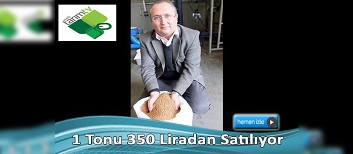 Zeytin çekirdeği kalorifer yakıtı oldu