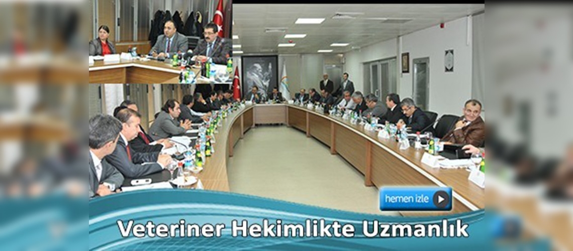 Veterinerlere Uzmanlık Eğitimi'nin detayları konuşuldu