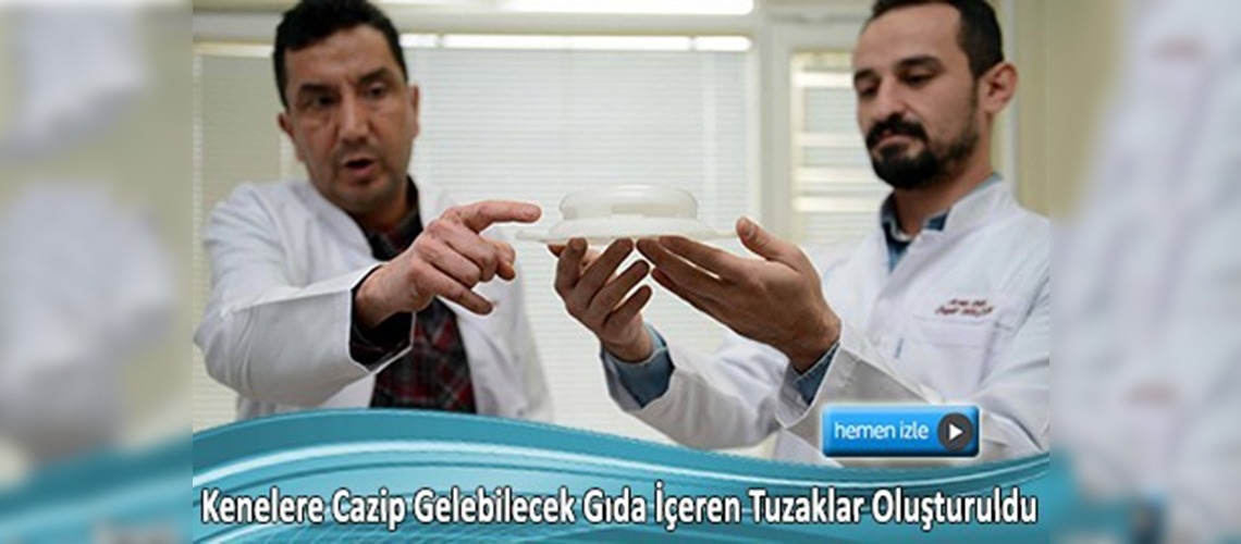 Keneleri tuzağa düşürecekler 