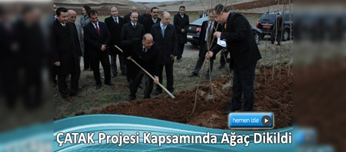 Vali Kolat, incelemelerde bulundu