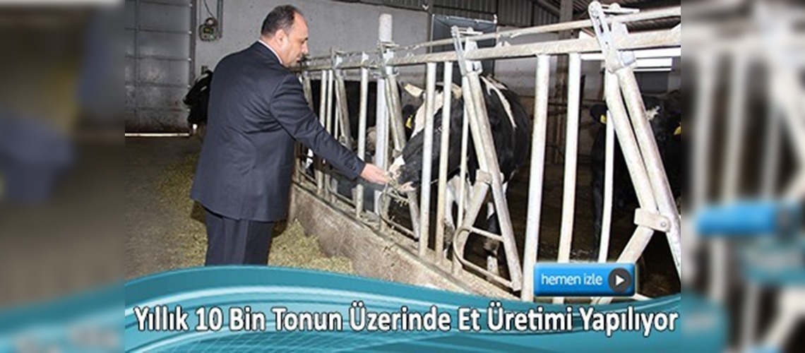 Kırşehir et üretiminde marka olma yolunda