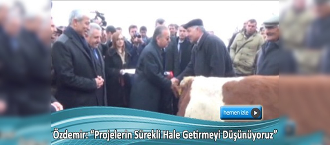 Damızlık Boğa ve Suni Tohumlama Araçları Dağıtıldı