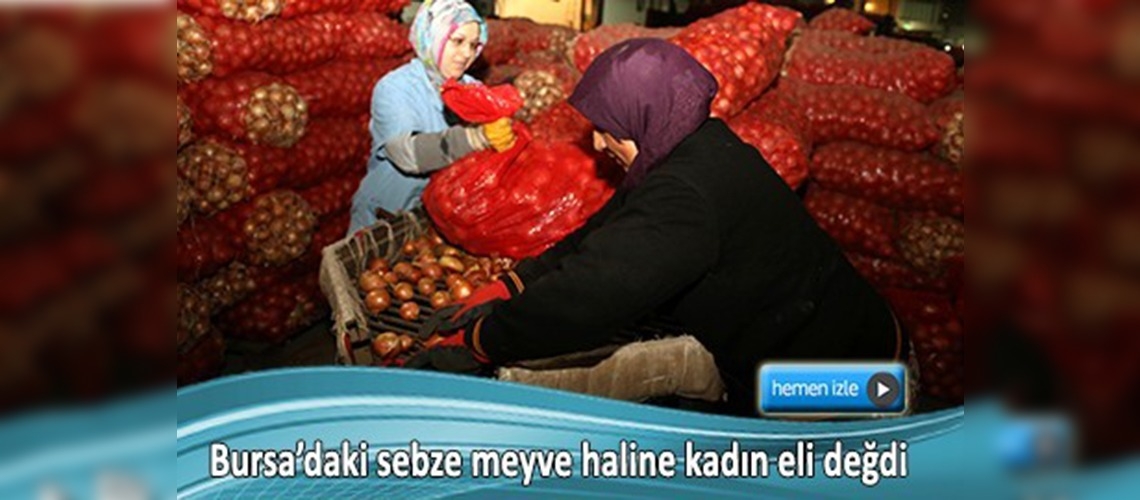 Sebze ve meyvenin 'hal'inden kadınlar anlıyor