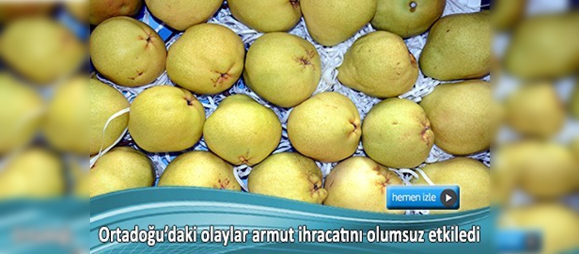 Deveci armuduna 'Ortadoğu' darbesi