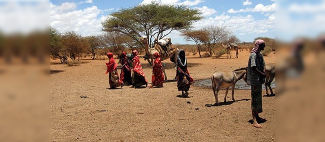 Somali'ye Tarımsal Eğitim Desteği