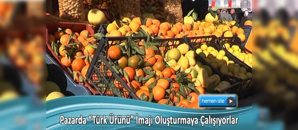 Narenciye üreticileri yine Tarkan'lı tanıtım istiyor