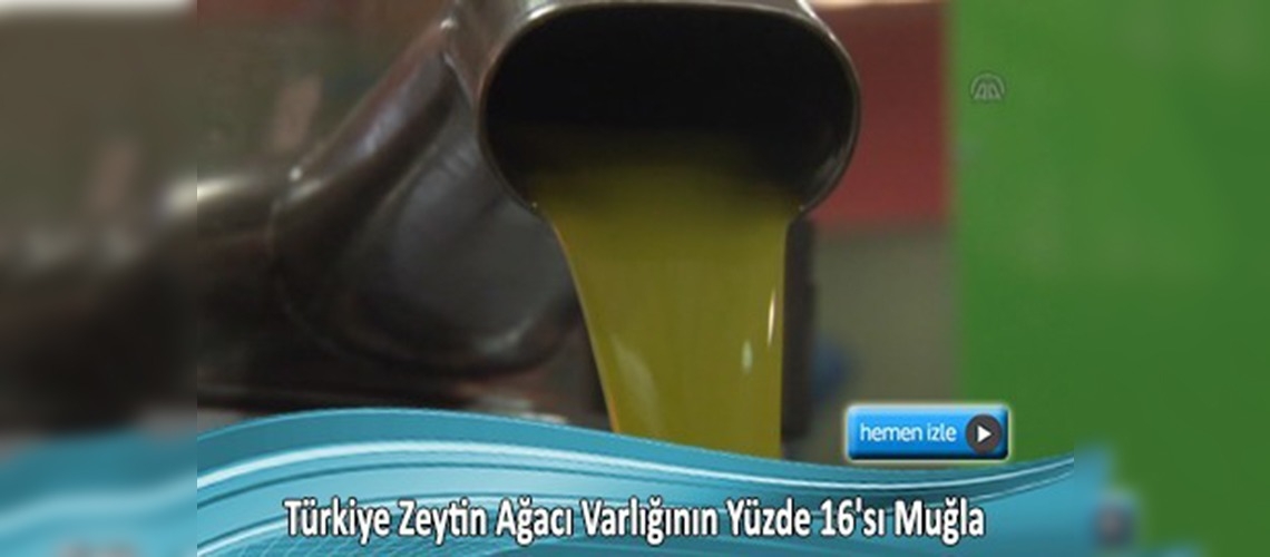 ''Biz 2, komşu 25 kilogram zeytinyağı tüketiyor''