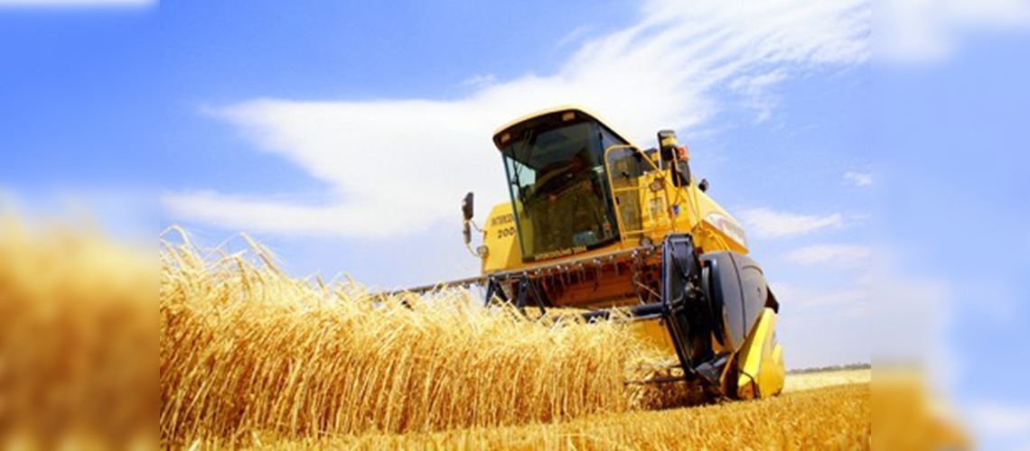 Tarımsal destekler yüzde 239 arttı