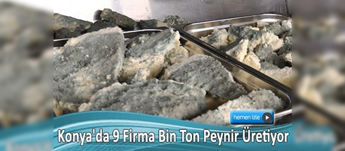 Küflü peynir merdiven altı üretimden kurtuldu