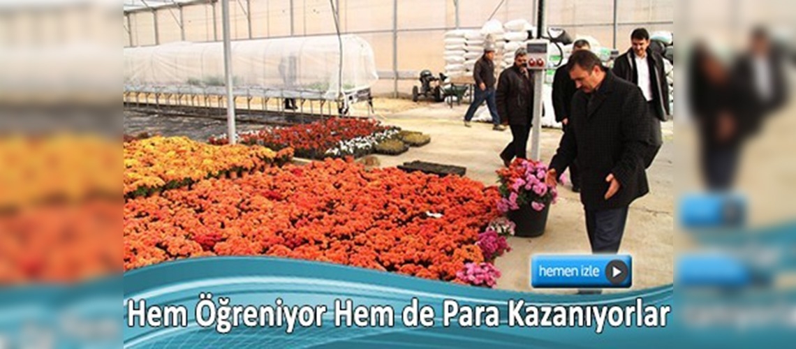 Öğrenciler, hem seracılığı öğrenecek hem para kazanacak 