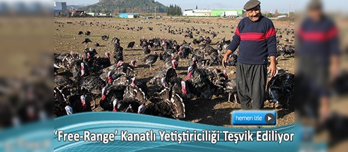 Osmaniye'de yeni bir sektör 