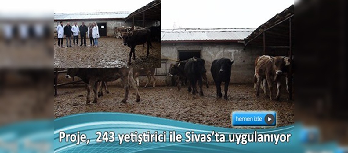 Manda yetiştiricileri 'tarımsal danışmanlık' hizmetinden faydalanıyor