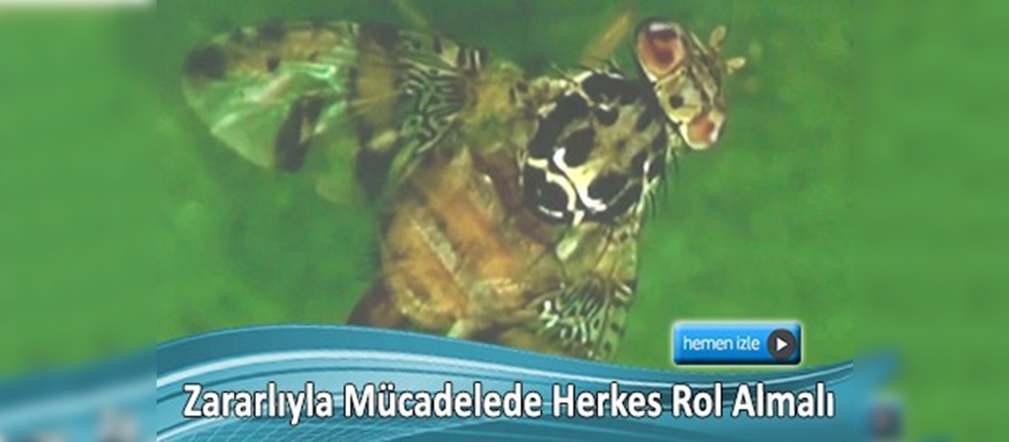 Akdeniz meyve sineğiyle mücadele stratejisi görüşüldü