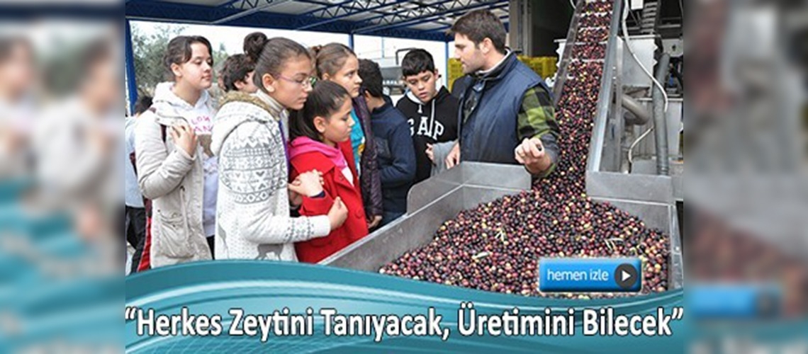 İlkokuldan üniversiteye öğrencilere zeytin dersi