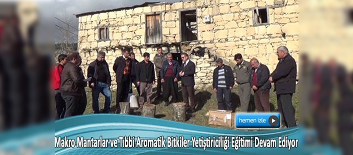 Kayın mantarı çiftçinin yeni gelir kapısı oldu