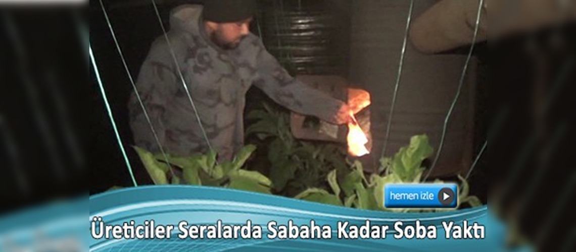 Çiftçiler seralarda 'don' nöbeti tuttu