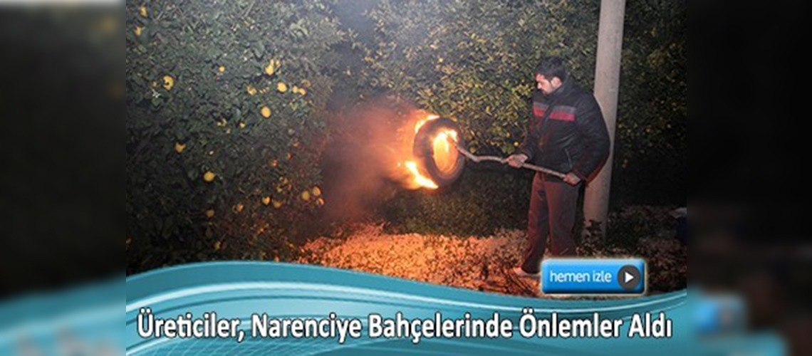 Narenciye ürünlerine zirai don tehdidi 