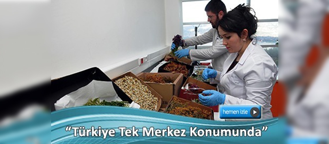 Bitkilere kozmetik ürün yolunda bilimsel dokunuş