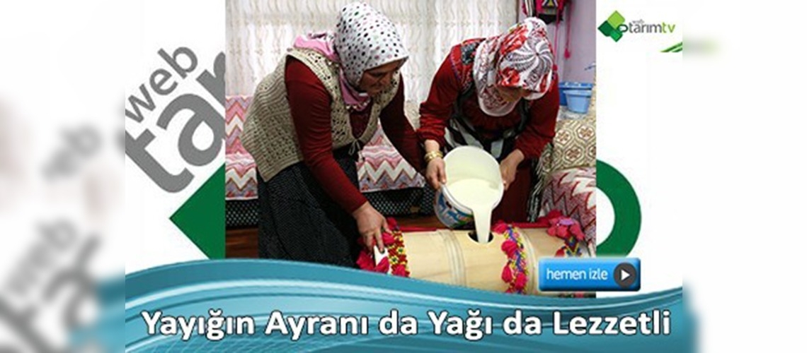 Yıllardır yayıktan yağ çıkarıyorlar  