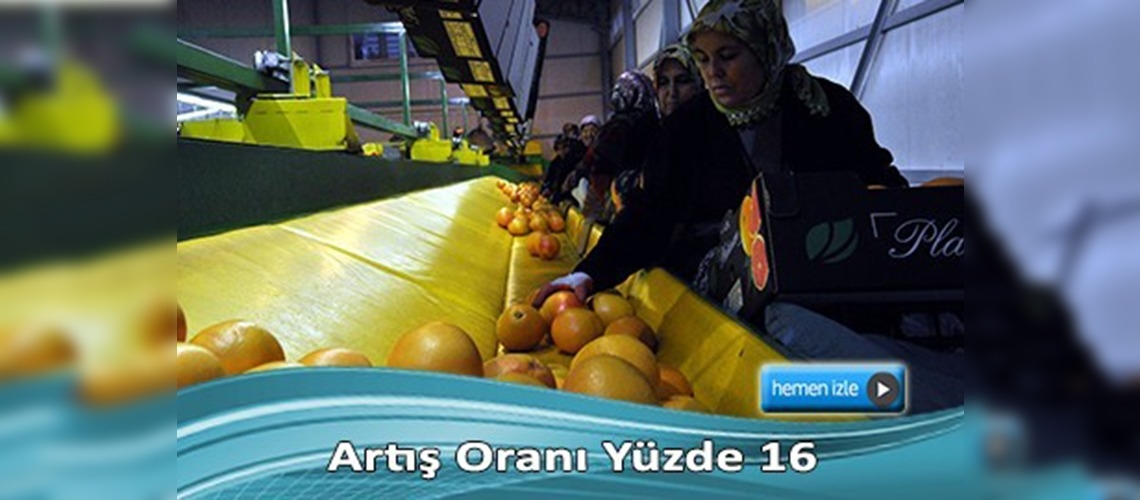 Narenciyede ihracat arttı