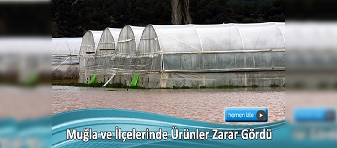 Aşırı yağış, don ve fırtına seraları etkiledi