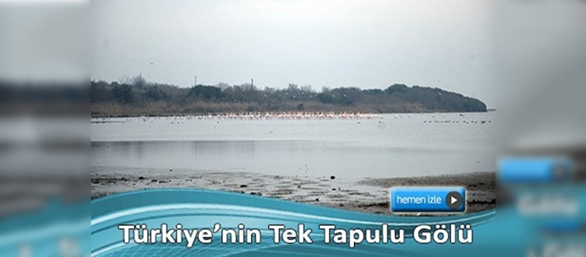 Kuş gözlemcilerinin yeni gözdesi olacak