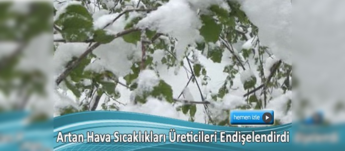 Fındık üreticisinin gözü 'hava' larda      