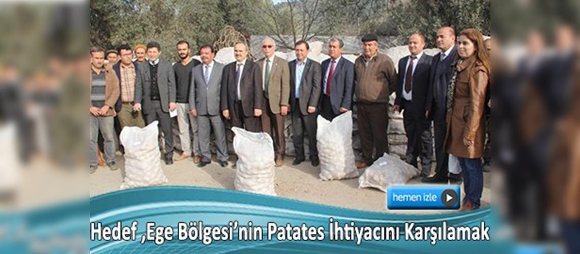Muğla'da her mevsim patates yetiştirilecek  