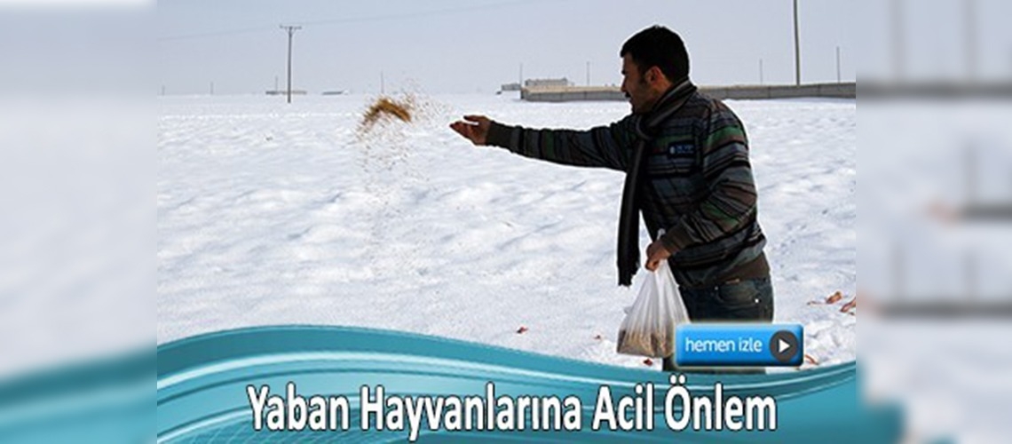 Yaban hayvanları için seferber oldular