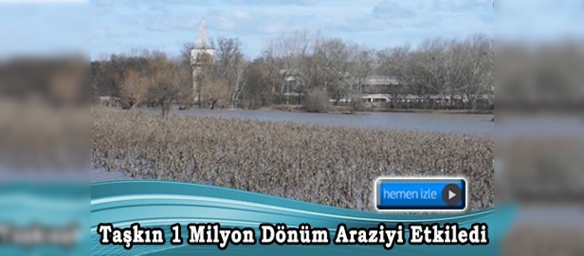 Meriç ve Tunca nehirlerinde taşkın 