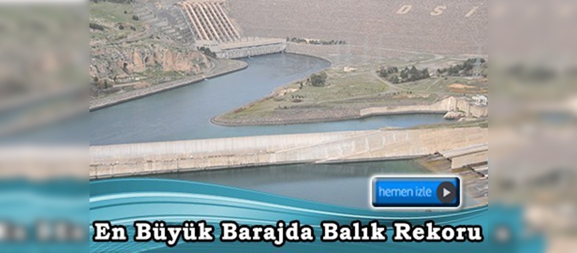 Atatürk Barajı, balık üretimiyle de rekora koşuyor