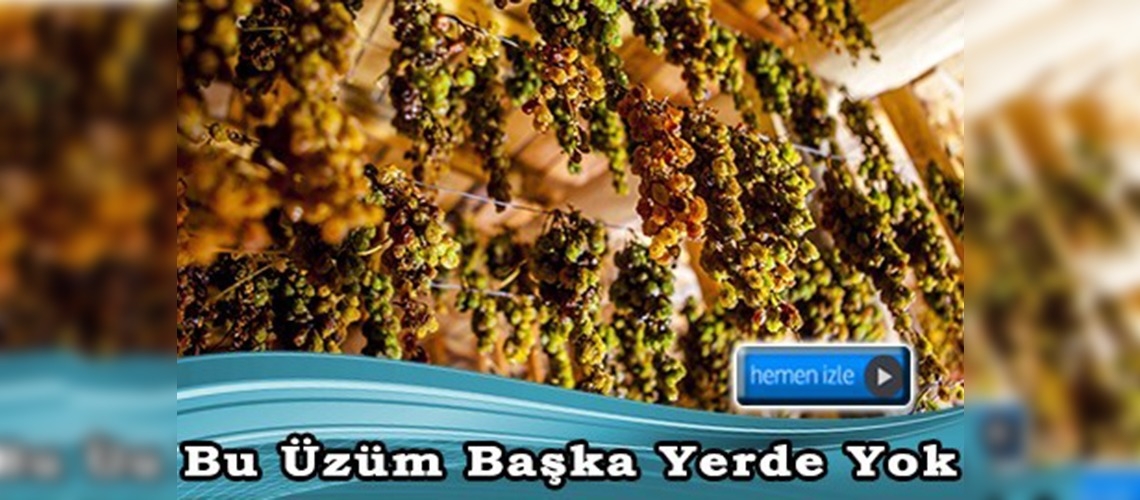 Bu üzüm başka yerde yok