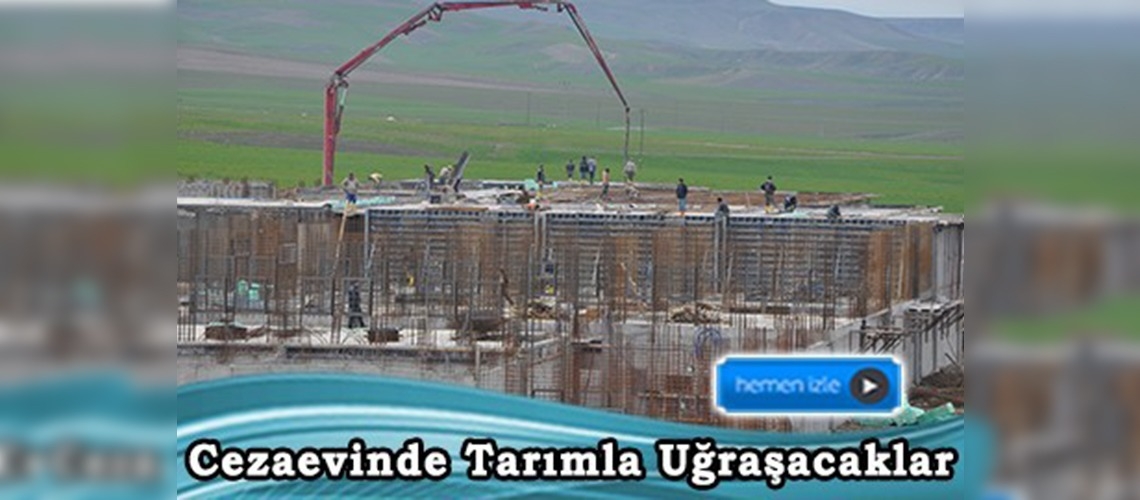 Tutuklu ve yükümlüler için 100 dönümlük tarım alanı