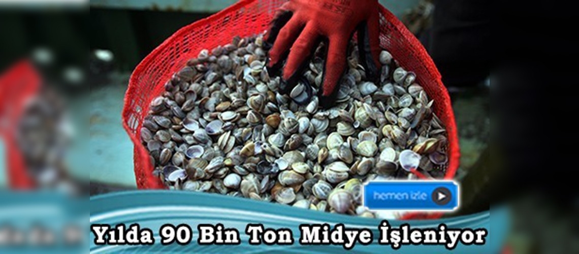 Avrupa'ya ''cik cik'' ihracatı