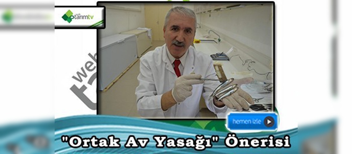 Hamsi için ''ortak av yasağı'' önerisi