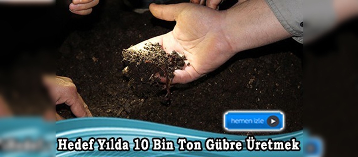 İki elti solucan gübresi üretiyor