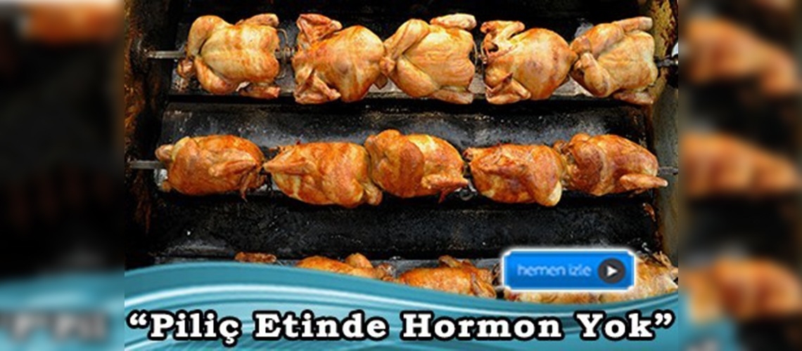 Hormonlu tavuk iddiaları gerçek dışı